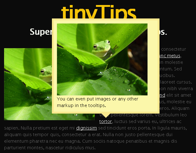 jquery.tinyTips提示框插件一句代码实现鼠标悬停文字...